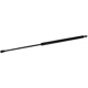 Purchase Top-Quality Lift Support by TUFF SUPPORT - 611444 pa2