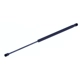 Purchase Top-Quality Lift Support by TUFF SUPPORT - 611726 pa1