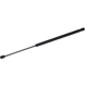 Purchase Top-Quality Lift Support by TUFF SUPPORT - 611796 pa1