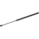 Purchase Top-Quality Lift Support by TUFF SUPPORT - 611796 pa2