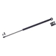 Purchase Top-Quality Lift Support by TUFF SUPPORT - 612001 pa1