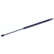 Purchase Top-Quality Lift Support by TUFF SUPPORT - 612079 pa1