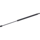 Purchase Top-Quality Lift Support by TUFF SUPPORT - 612079 pa2