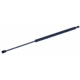 Purchase Top-Quality Lift Support by TUFF SUPPORT - 612079 pa3
