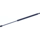 Purchase Top-Quality Lift Support by TUFF SUPPORT - 612079 pa4