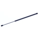 Purchase Top-Quality Lift Support by TUFF SUPPORT - 612184 pa1