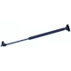 Purchase Top-Quality TUFF SUPPORT - 612190 -Lift Support pa1