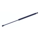 Purchase Top-Quality Lift Support by TUFF SUPPORT - 612344 pa1
