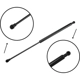 Purchase Top-Quality TUFF SUPPORT - 612415 - Hood Lift Support pa2