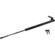 Purchase Top-Quality TUFF SUPPORT - 612420 - Lift Support pa2