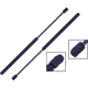 Purchase Top-Quality TUFF SUPPORT - 612710 - Lift Support pa5