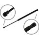 Purchase Top-Quality Lift Support by TUFF SUPPORT - 612714 pa4