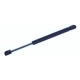 Purchase Top-Quality Lift Support by TUFF SUPPORT - 612731 pa1