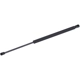 Purchase Top-Quality Lift Support by TUFF SUPPORT - 612772 pa2