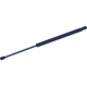 Purchase Top-Quality Lift Support by TUFF SUPPORT - 612772 pa3