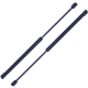 Purchase Top-Quality TUFF SUPPORT - 612823 - Lift Support pa4