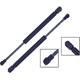 Purchase Top-Quality TUFF SUPPORT - 612830 - Lift Support pa6