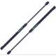 Purchase Top-Quality TUFF SUPPORT - 612896 - Lift Support pa5