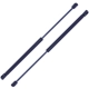 Purchase Top-Quality TUFF SUPPORT - 612963 - Lift Support pa1