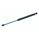 Purchase Top-Quality TUFF SUPPORT - 612990 - Back Glass Lift Support pa1