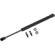 Purchase Top-Quality TUFF SUPPORT - 613070 - Lift Support pa2