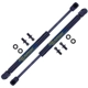 Purchase Top-Quality TUFF SUPPORT - 613070 - Lift Support pa4