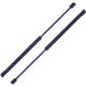 Purchase Top-Quality TUFF SUPPORT - 613072 - Lift Support pa4