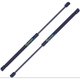 Purchase Top-Quality Lift Support by TUFF SUPPORT - 613188 pa5