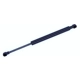 Purchase Top-Quality TUFF SUPPORT - 613204 - Hood Lift Support pa1