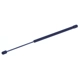 Purchase Top-Quality Lift Support by TUFF SUPPORT - 613273 pa1