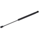 Purchase Top-Quality TUFF SUPPORT - 613308 - Hood Lift Support pa1