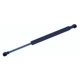 Purchase Top-Quality TUFF SUPPORT - 613310 - Lift Support pa1