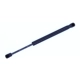 Purchase Top-Quality Lift Support by TUFF SUPPORT - 613318 pa1