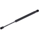 Purchase Top-Quality Lift Support by TUFF SUPPORT - 613318 pa2