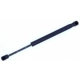 Purchase Top-Quality Lift Support by TUFF SUPPORT - 613318 pa3