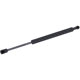 Purchase Top-Quality TUFF SUPPORT - 613319 - Lift Support pa2