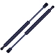 Purchase Top-Quality TUFF SUPPORT - 613319 - Lift Support pa3