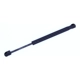 Purchase Top-Quality Lift Support by TUFF SUPPORT - 613386 pa1
