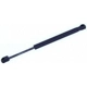 Purchase Top-Quality Lift Support by TUFF SUPPORT - 613386 pa2