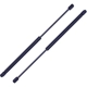 Purchase Top-Quality Lift Support by TUFF SUPPORT - 613404 pa6