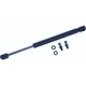 Purchase Top-Quality Lift Support by TUFF SUPPORT - 613509 pa3