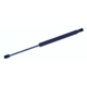 Purchase Top-Quality Lift Support by TUFF SUPPORT - 613547 pa1