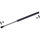 Purchase Top-Quality Lift Support by TUFF SUPPORT - 613557 pa1