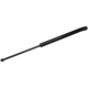 Purchase Top-Quality Lift Support by TUFF SUPPORT - 613566 pa2