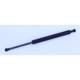 Purchase Top-Quality Lift Support by TUFF SUPPORT - 613571 pa1