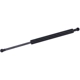 Purchase Top-Quality Lift Support by TUFF SUPPORT - 613571 pa2