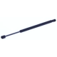 Purchase Top-Quality Lift Support by TUFF SUPPORT - 613572 pa1