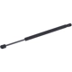 Purchase Top-Quality Lift Support by TUFF SUPPORT - 613572 pa2
