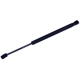 Purchase Top-Quality TUFF SUPPORT - 613700 - Lift Support pa3