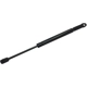 Purchase Top-Quality TUFF SUPPORT - 613740 - Hood Lift Support pa1